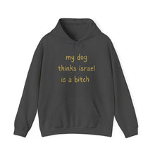 Load image into Gallery viewer, My dog thinks Israel is a b - Unisex Heavy Blend™ Hooded Sweatshirt
